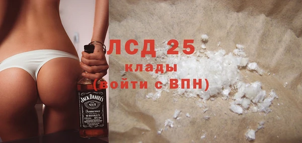 прущие грибы Балабаново
