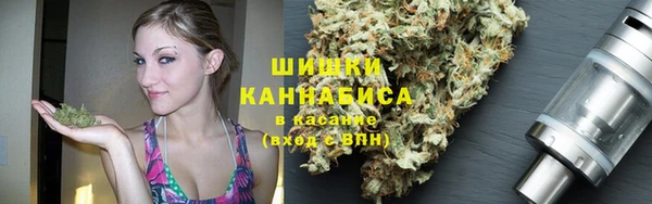 прущие грибы Балабаново