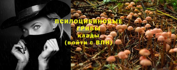 прущие грибы Балабаново