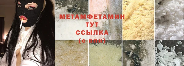 прущие грибы Балабаново