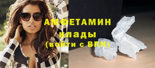 прущие грибы Балабаново